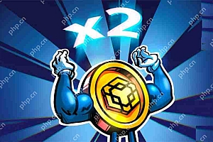 渣打银行预测BNB价格将在2025年翻倍