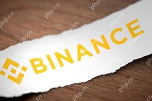 币安网页版登录入口 币安网页版登录注册页面