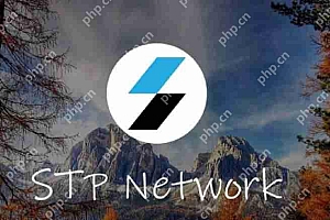 STPT币前景如何?会涨到10元吗?STPT币未来价格预测