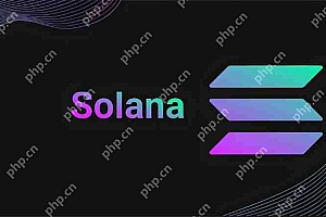 Solana价格预测:Solana能达到1000美元吗?