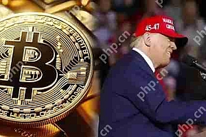川普儿子比特币矿企American Bitcoin借壳上市详解!Gryphon Mining股价狂飙330%