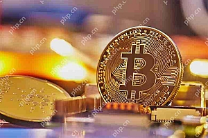 如何计算比特币挖矿机的利润?理解矿工的盈利能力