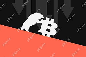 一文详解加密货币进入熊市的目的和意义