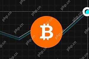 当加密货币或代币的价格快速上涨时使用的术语是什么?