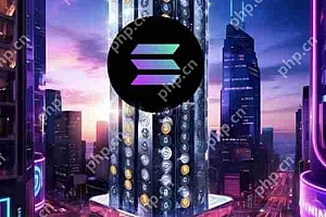 一文了解加密货币造市商GSR入股的Upexi已拥有1亿美元的SOL!将与BitGo合作