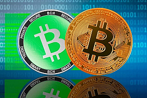 震惊!90%币圈散户不知道 庄家最怕你用的3个链上数据工具