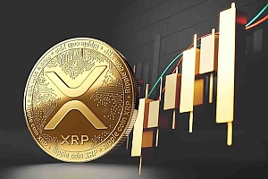币圈投资者必须知道的关键信号!把握最佳入场时机,避开韭菜陷阱