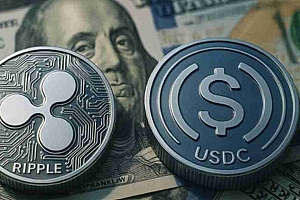 经验丰富的XRP鲸鱼将其利润倾倒到Xpfinance的预售中,以捕获30%的清单