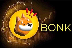 Bonk 币价格预测:BONK 能涨到 1 美元吗?