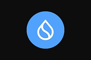 SUI(SUI)价格预测:作为看涨模式形式的新历史最高点的突破
