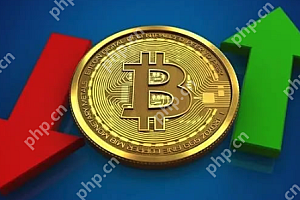 比特币价格2025年预测:BTC突破25万美元?波卡攀升至200美元?