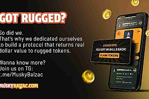 Balzback打开了社区提交的平台,使坚固的模因硬币可以寻求赎回
