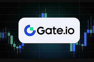 Gate.io交易所入口 Gate.io交易所网页版充值入口