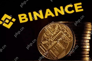 币安binance最新版APP2025 v2.101.8 binance安卓版app