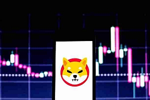 柴犬币的山寨币季节策略:SHIB会跑赢大盘吗?