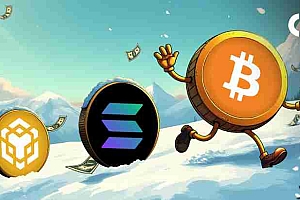 Solana,BNB,比特币:解码加密十字路口