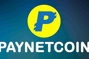 什么是PayNet Coin(PAYN币)?PAYN币主要功能概述及未来价格展望