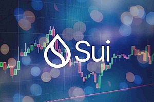 SUI价格检查:交易前景和2025年的预测 – 有什么交易?