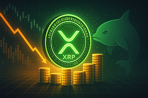 XRP鲸鱼和获利:有什么交易?
