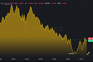 狗狗币24小时价格app 实时行情k线走势图在线分析