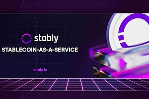 Stablecoin革命:发展,咨询服务和金融的未来