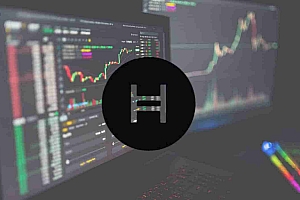 Hedera Price:趋势逆转还是下降趋势延续?