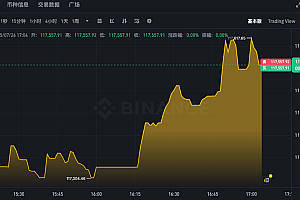 比特币价格实时走势APP 24小时BTC汇率K线在线分析