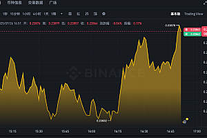 狗狗币24小时价格走势APP DOGE币实时汇率K线走势查询