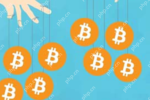 为什么越来越多DeFi协议选用USDC?与USDT的流动性对比