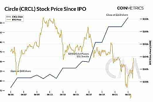 Circle (CRCL) 估值及USDC经济学深入解读