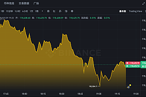 BTC实时价格走势APP 比特币最新汇率K线图查询