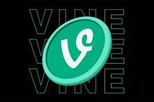 什么是Vine Coin?VINE币价格预测2025-2030年