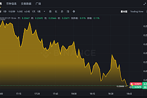 DOGE币24小时价格K线图APP 狗狗币最新汇率走势分析