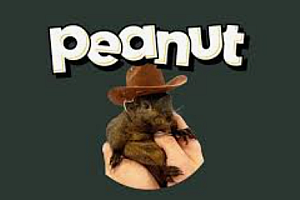 什么是Peanut the Squirrel?PNUT币价格预测2025-2030年