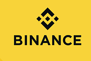 Yandex浏览器怎么下载BInance必安交易所APP_图文详解新手安装流程