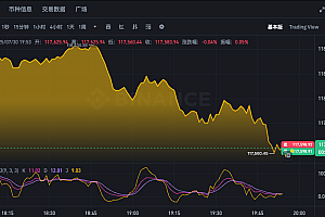 最新比特币行情APP BTC实时价格走势图在线查看