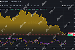 Toncoin24小时行情app 最新TON币价格走势k线在线查询
