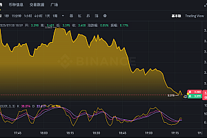 TON币最新行情走势图实时app 查看Toncoin24小时汇率k线在线