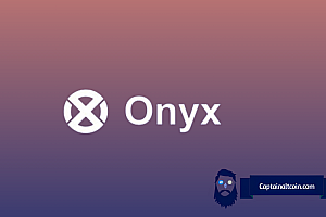 Onyxcoin(XCN)价格飙升:这里的加密货币是否会留下来?