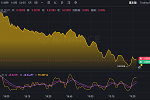 狗狗币最新价格K线图APP DOGE币24小时汇率走势分析
