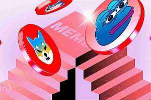 Hasbulla,Meme Coins和Rug Pulls:Crypto混乱的纽约分钟