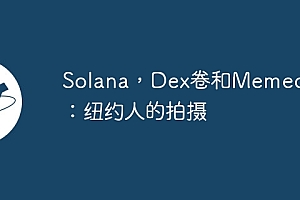 Solana,Dex卷和Memecoins:纽约人的拍摄