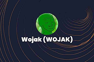 Wojak(WOJAK币)是什么?值得投资吗?关于WOJAK币的全面指南