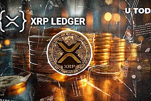 XRPL货币化建议:批处理和XRP的未来