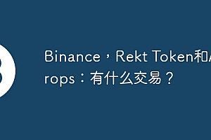 Binance,Rekt Token和Airdrops:有什么交易?
