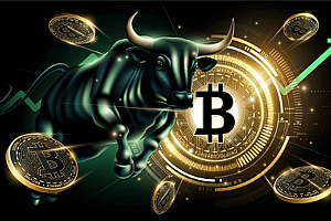比特币,被动收入和公牛加薪:骑加密货币