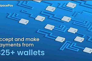 SpacePay,Altcoins&Investing在2025年:嗡嗡声是什么?
