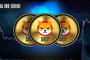 柴犬币燃烧计划参与指南:SHIB通缩模型如何影响持仓价值?