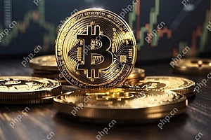 比特币官网交易APP最新版安装 比特币交易软件最新版官网