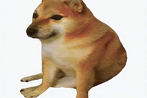 什么是ELON DOGE?ELON DOGE是不是马斯克新的新模因币